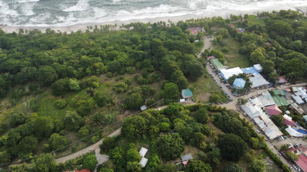 Armadillo Eco Bungalows - Santa Teresa Playa Santa Teresa  Zewnętrze zdjęcie