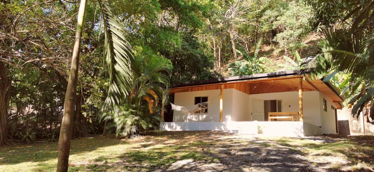 Armadillo Eco Bungalows - Santa Teresa Playa Santa Teresa  Zewnętrze zdjęcie
