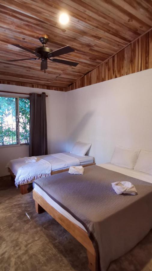 Armadillo Eco Bungalows - Santa Teresa Playa Santa Teresa  Zewnętrze zdjęcie