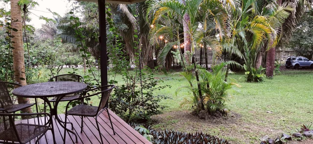 Armadillo Eco Bungalows - Santa Teresa Playa Santa Teresa  Zewnętrze zdjęcie