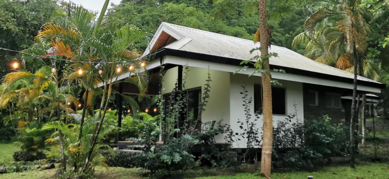 Armadillo Eco Bungalows - Santa Teresa Playa Santa Teresa  Zewnętrze zdjęcie