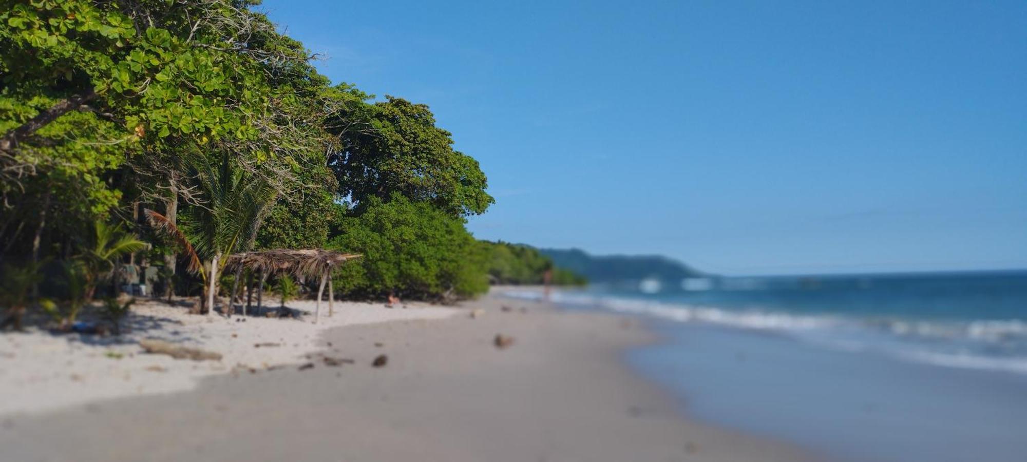 Armadillo Eco Bungalows - Santa Teresa Playa Santa Teresa  Zewnętrze zdjęcie