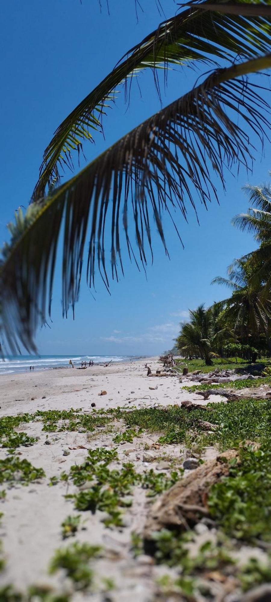 Armadillo Eco Bungalows - Santa Teresa Playa Santa Teresa  Zewnętrze zdjęcie