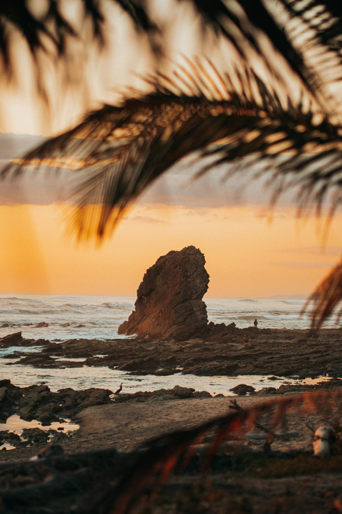 Armadillo Eco Bungalows - Santa Teresa Playa Santa Teresa  Zewnętrze zdjęcie